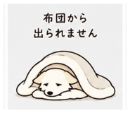 847503082