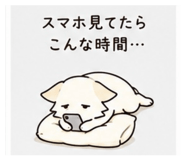 847503087