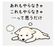 847503090