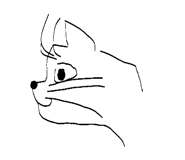 847503099