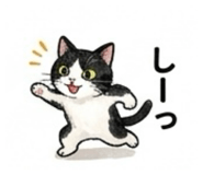 847504806