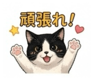 847505314