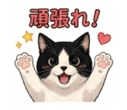 847505335