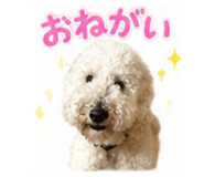 847505782