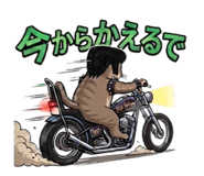 847506205