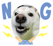 847506276