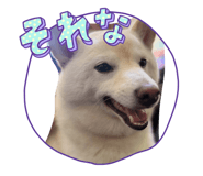 847506277