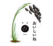 847507241