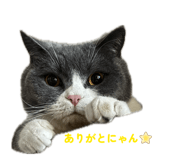 847508088