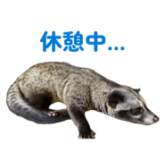 847508359