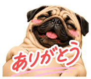 847508836