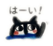 847525605