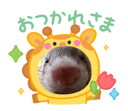 847526193