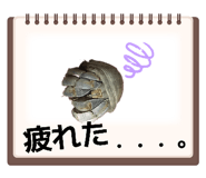 847526323