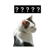 847530433