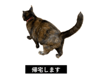 847530440