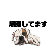 847531989