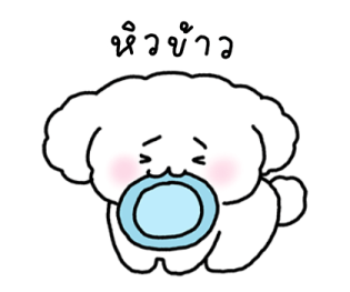 จี หมาน้อยใช้ได้ทุกวัน รูปที่ 7