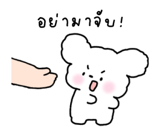 จี หมาน้อยใช้ได้ทุกวัน รูปที่ 11