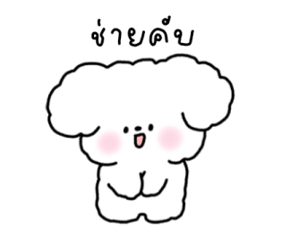 จี หมาน้อยใช้ได้ทุกวัน รูปที่ 12
