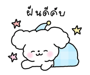 จี หมาน้อยใช้ได้ทุกวัน รูปที่ 15