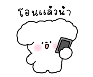 จี หมาน้อยใช้ได้ทุกวัน รูปที่ 18