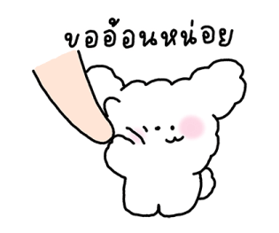 จี หมาน้อยใช้ได้ทุกวัน รูปที่ 20