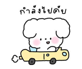 จี หมาน้อยใช้ได้ทุกวัน รูปที่ 30