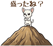 847541534