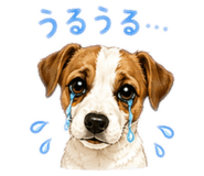 847543279