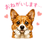 847543307