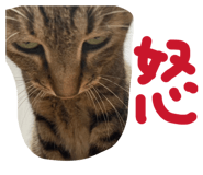847544042