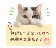 847544998