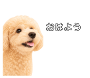 847546366