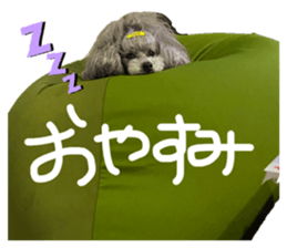 847546611