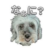 847546834