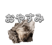 847546836
