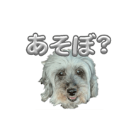 847546838