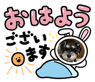847546954