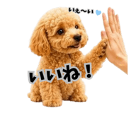 847547057