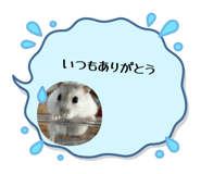 847549828