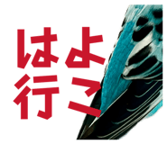 847550041