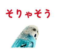 847550044