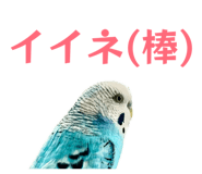 847550051