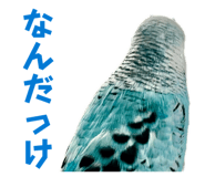 847550052