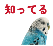 847550053