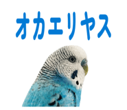 847550056
