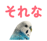 847550057