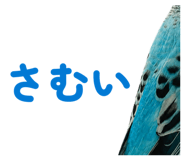 847550062