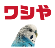 847550065